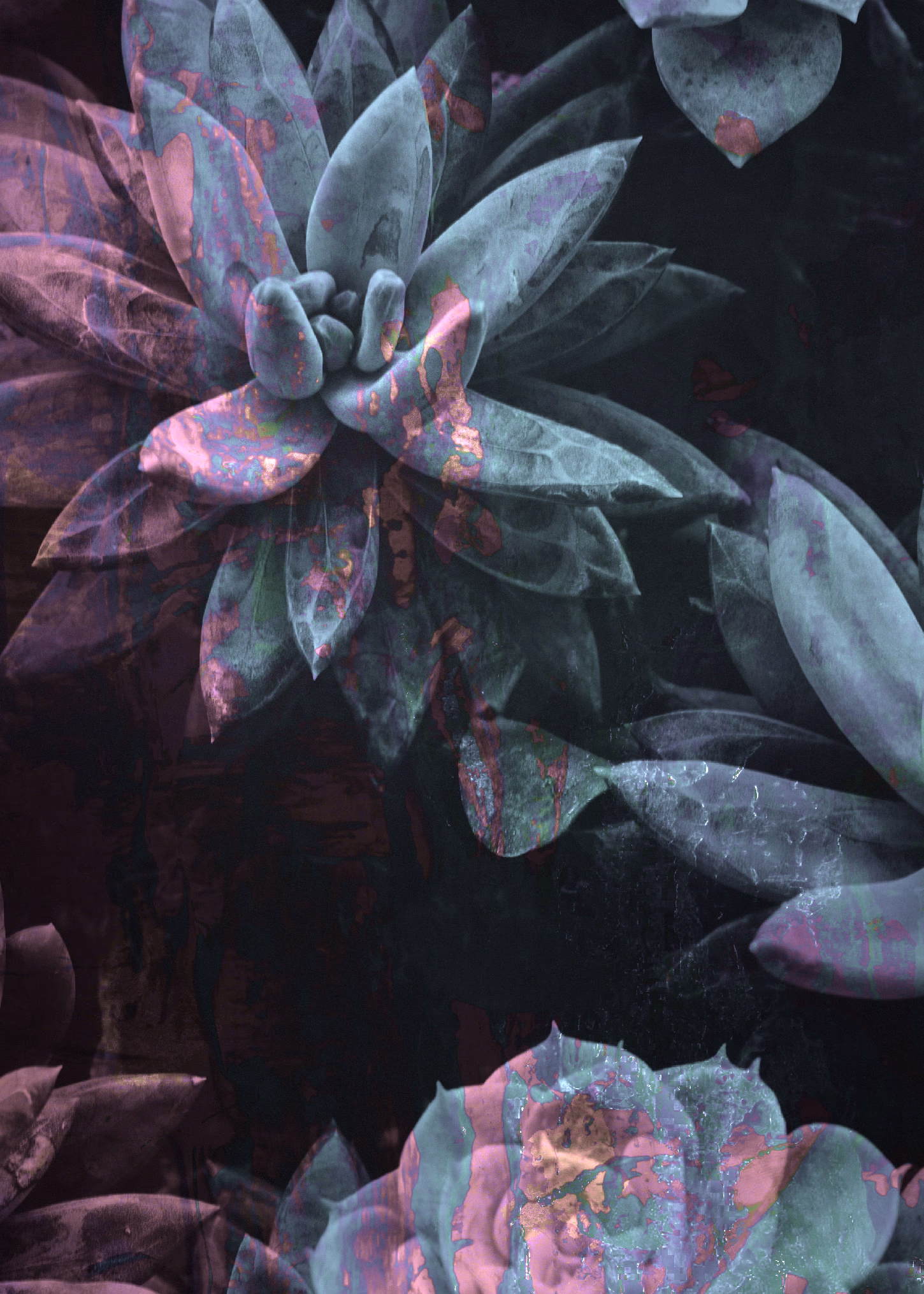 Plant print 5